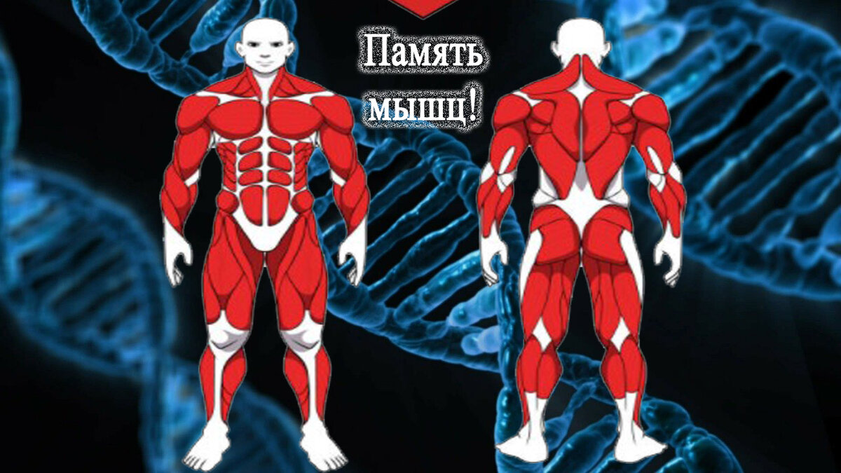 Источник: httpspixabay.com