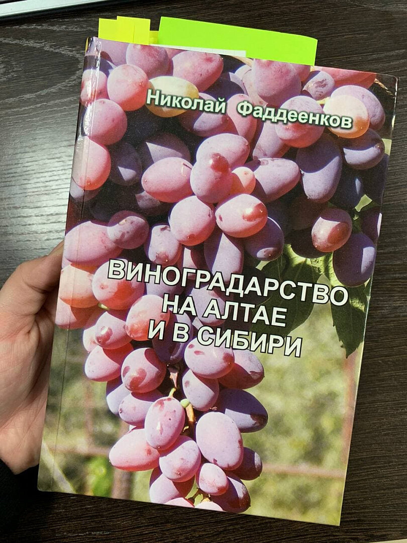 Приобрел вот такую авторскую книгу-пособие по выращивания винограда. Убедился, что многое делаю верно. Много почерпнул нового.