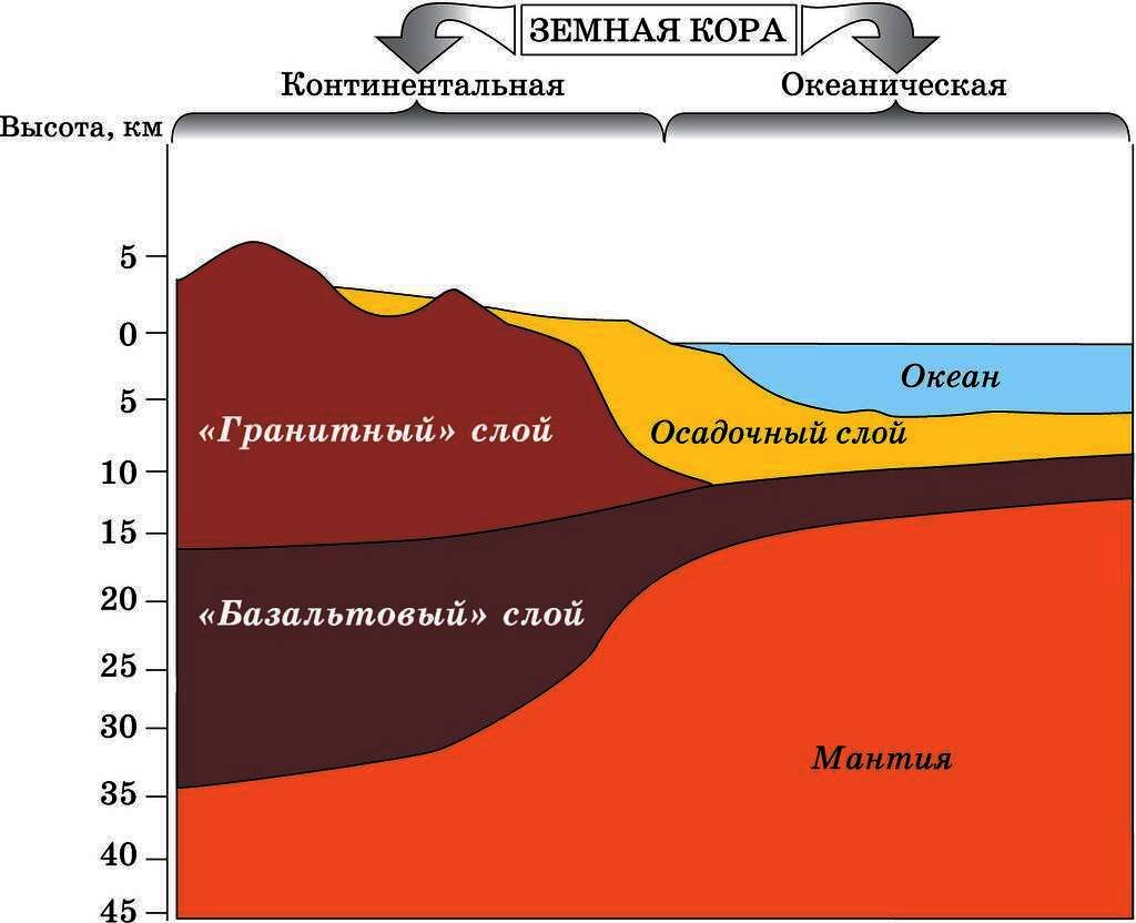 Континентальная и океаническая земная кора