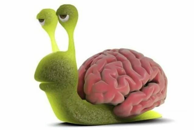 Картинка взята их открытых источников на Яндекс 