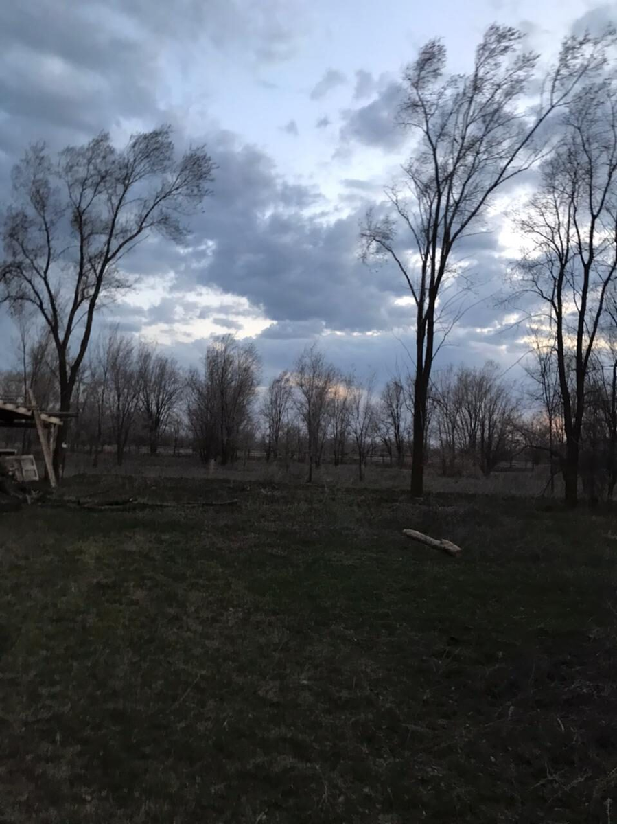 Так выглядит земля с\хоз назначения, около 20 лет никто не обрабатывал.предстоит мне.