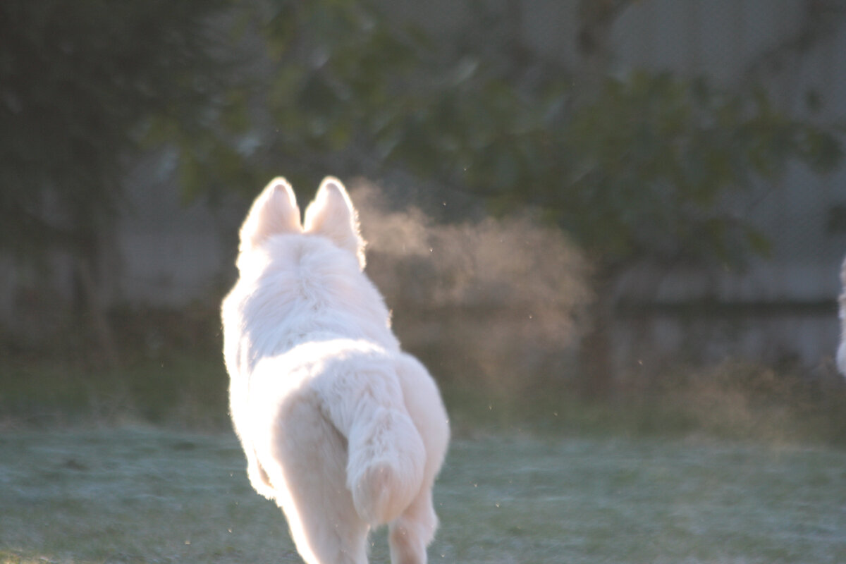 Это Бэйс с самого выгодного ракурса:)