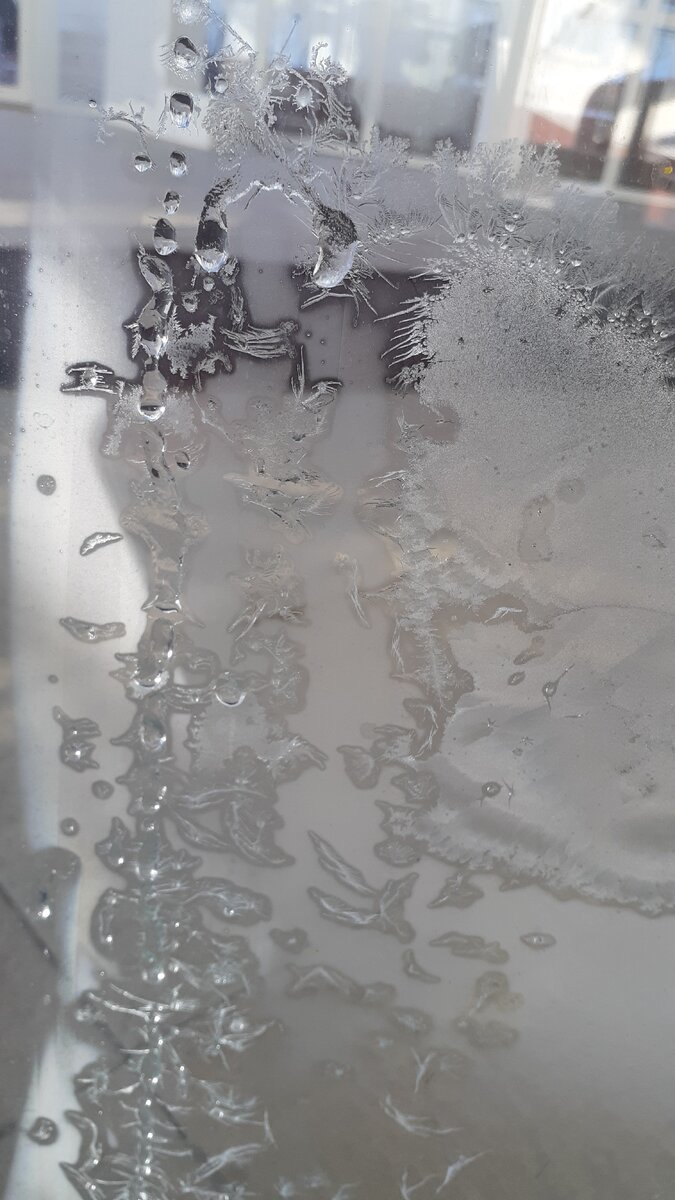 Утренний морозец украсил стекло, крылья, птицы, одуванчики, а может еще что? Фото Шрайбикус Е.
