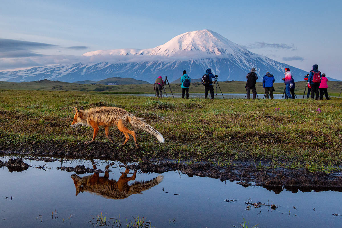 горы на востоке