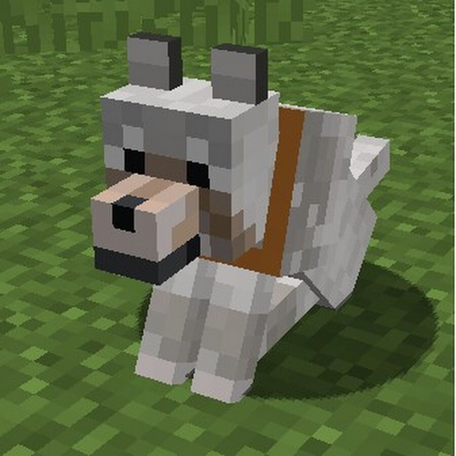 Как выглядит minecraft собака
