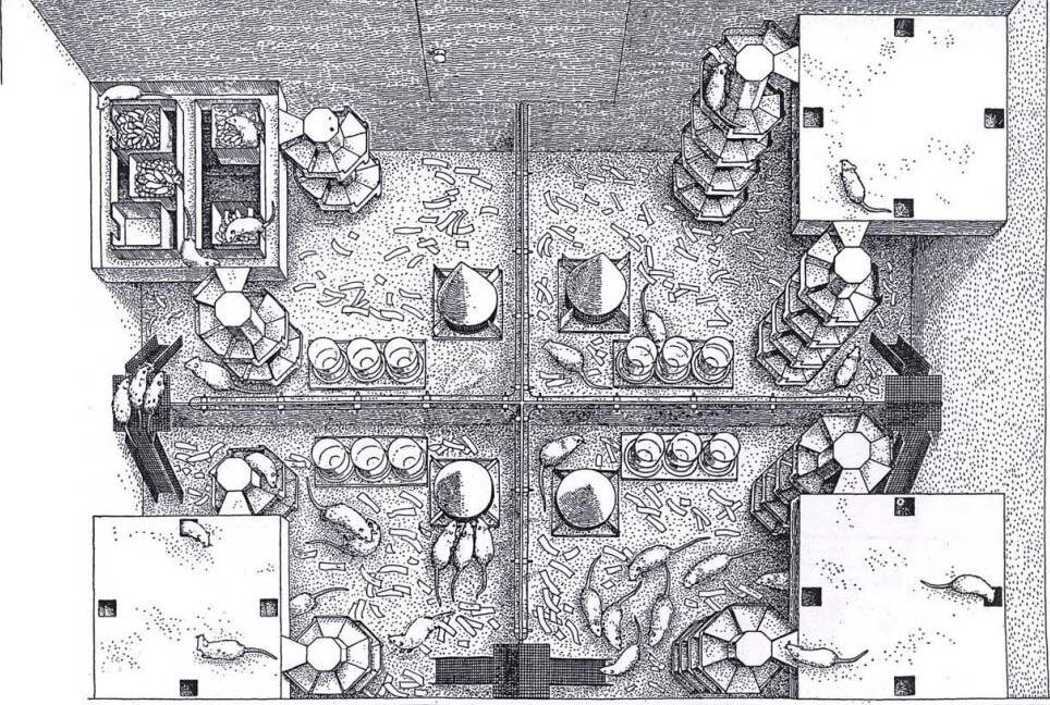 Фотография взята из Яндекс картинок