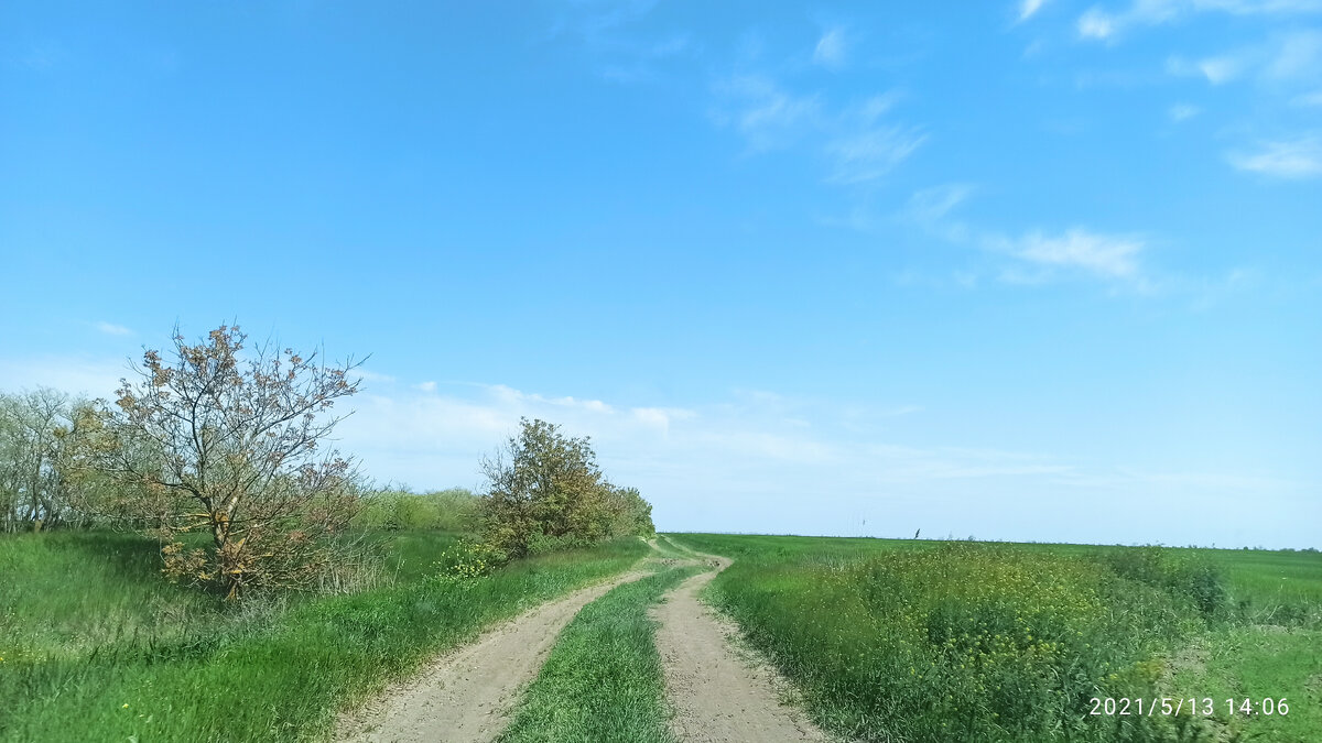 Погода крым нижнегорский заречье