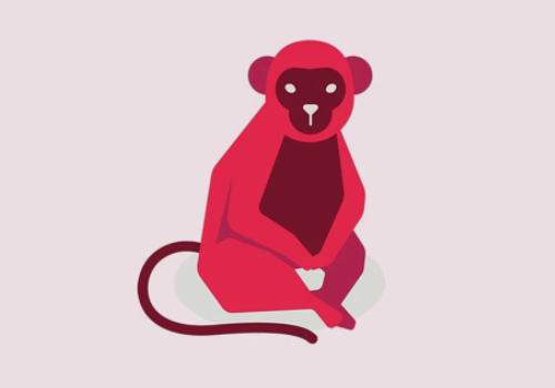 КИТАЙСКИЙ ЗОДИАК ОБЕЗЬЯНА 