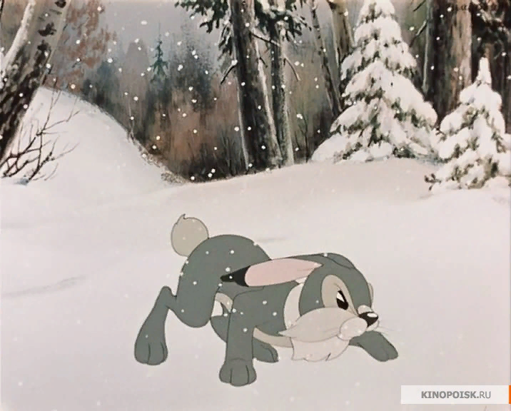 Мечта мальчишек - охота на зайца .