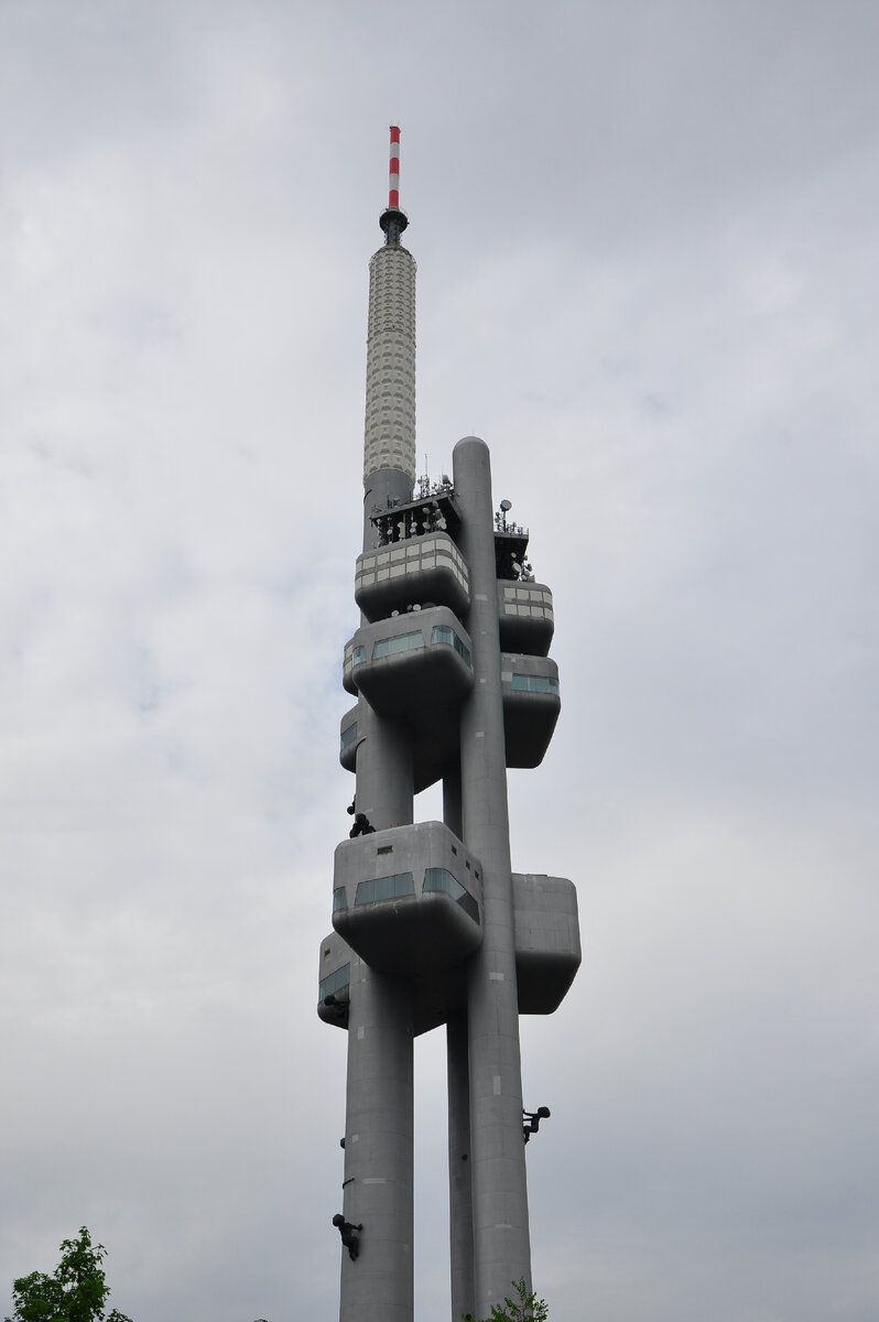 Фотография автора статьи, май 2016 года