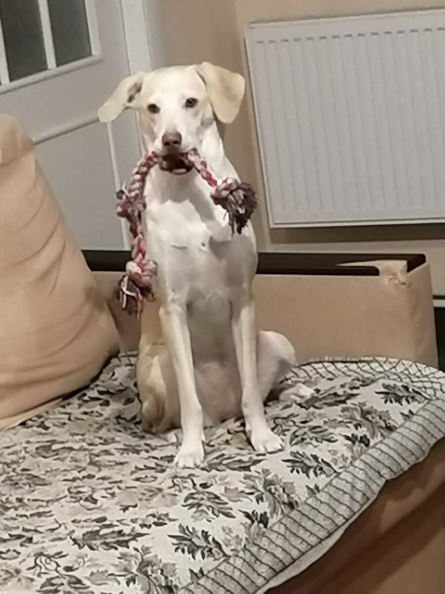 Всегда стараются втянуть в игру кого-то из нас.