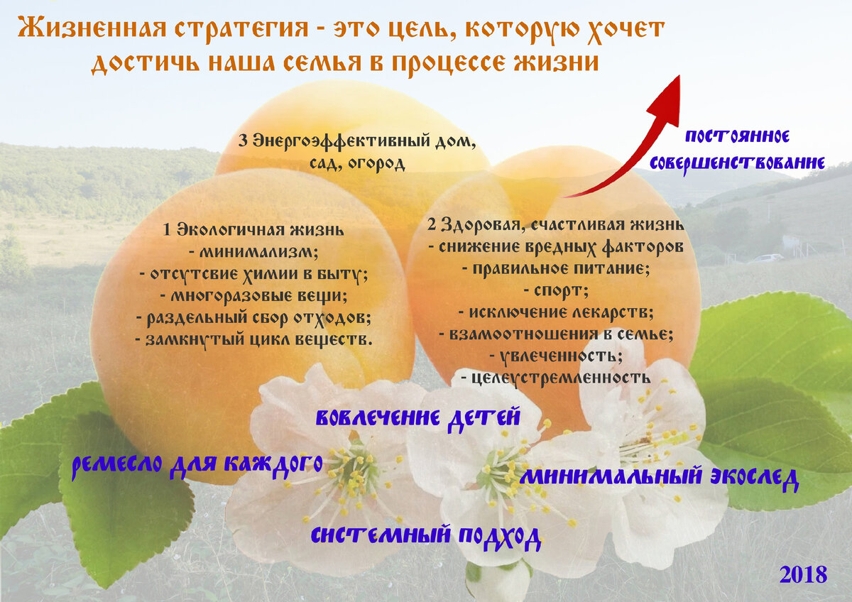 Базовый вариант жизненной стратегии - нашего плана на будущее