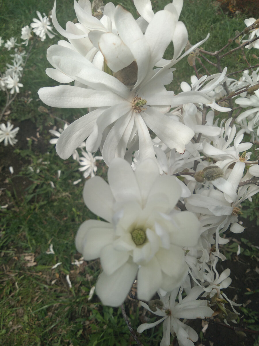 Фото сделано мною.