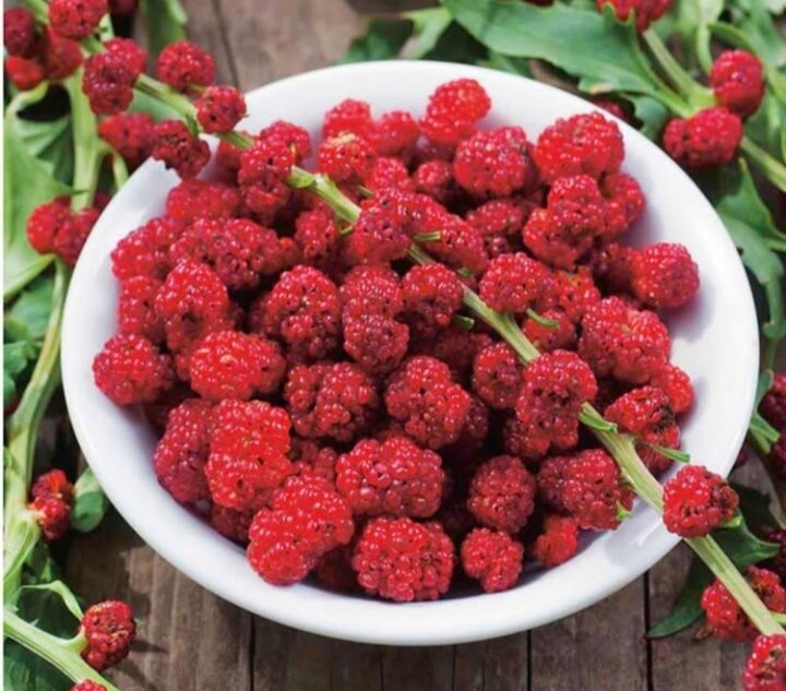 Не земляника, не малина и даже не шпинат – жминда: что это такое и с ...