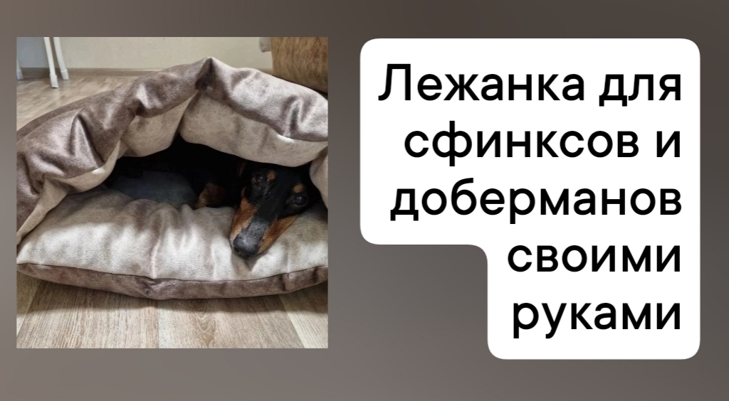 Лежак для собаки своими руками: выкройка лежанки-кровати