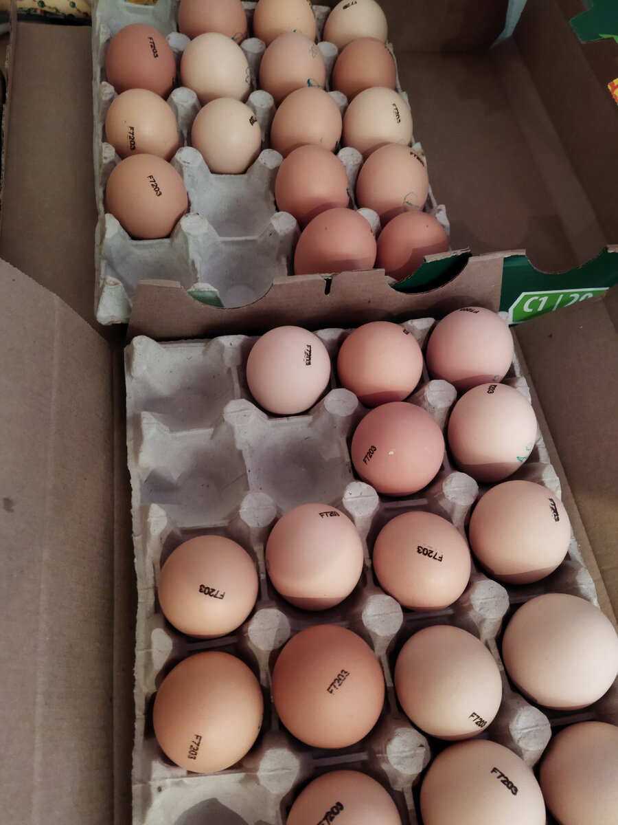 Французское инкубационное яйцо цветного бройлера