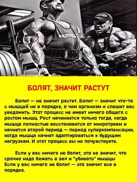 Как облегчить боль мышц после тренировки. Мышцы после тренировки. Болят мышцы после тренировки. Если болят мышцы после тренировки. Как растут мышцы после тренировки