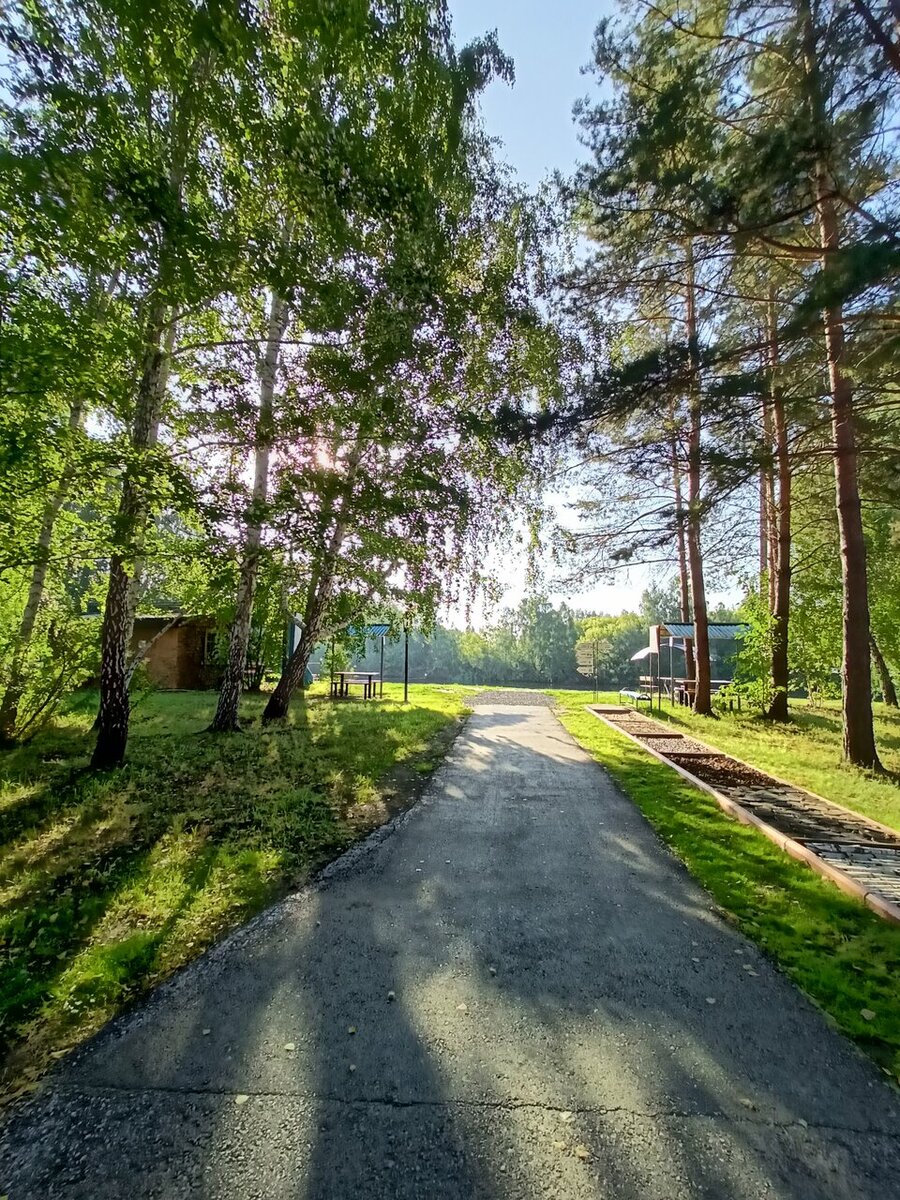 Территория санатория "Краснозерский". Фото: yandex.ru/maps. Лола Розмай