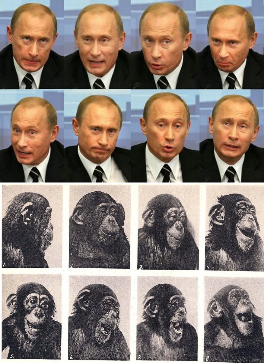 Живых людей тоже изучают антропологи. Как и остальных животных. Разницы нет.