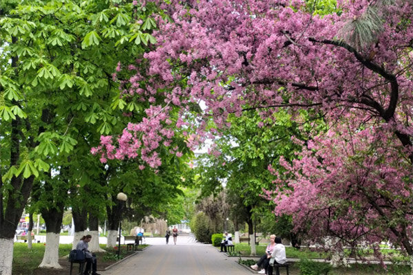 Фото Елены Шпак и Екатерины Карсаевой в банке фотообоев.