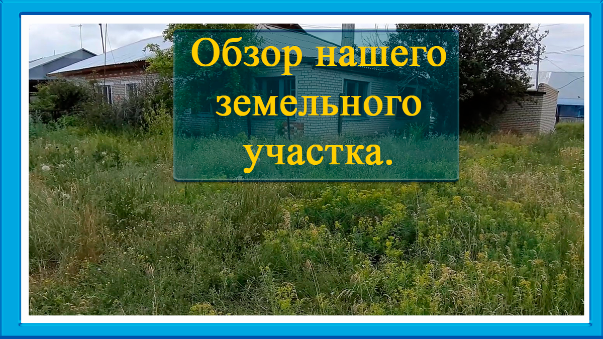 Обзор участка в 9 соток (Купил дом за 600000 руб). | ЖИЗНЬ И ХОББИ / LIFE  AND HOBBIES | Дзен