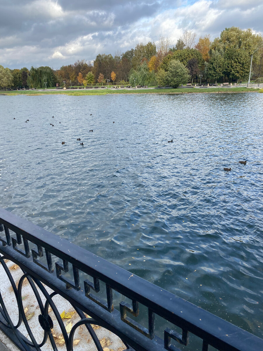 Пруд Парка «Радуга», Москва