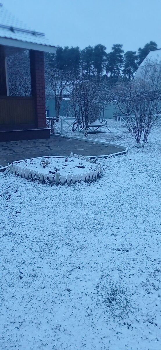 Фото  5-го ноября, едва накрыло землю