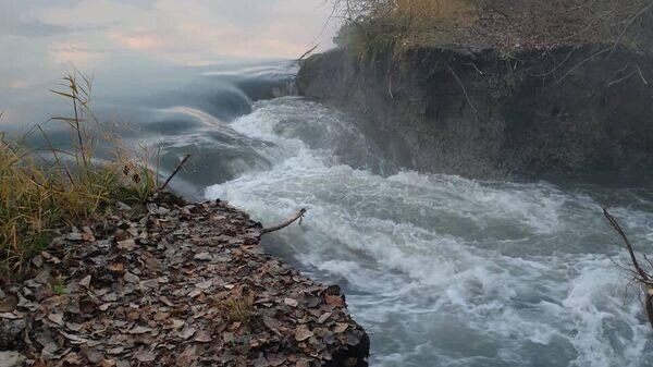   © Photo : Пресс-служба Минприроды Северной Осетии