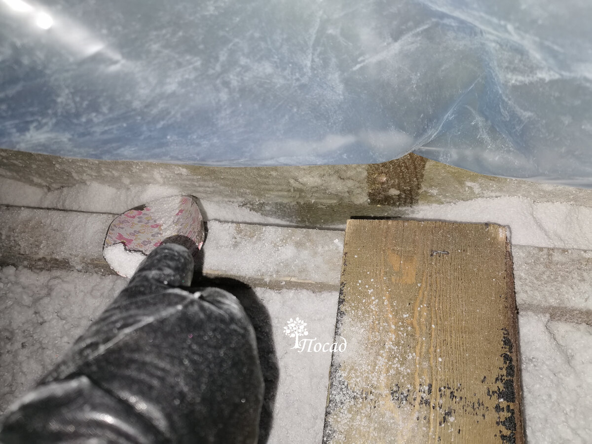 Подсыпаю перлит, чтобы мышам неинтересно было.