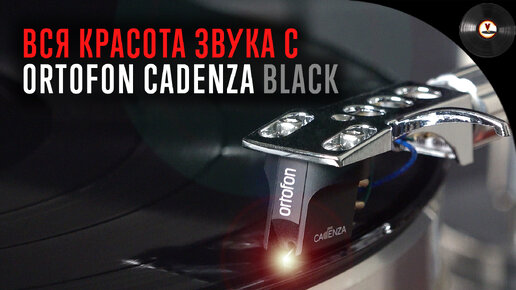 Вся красота звука с Ortofon Cadenza Black