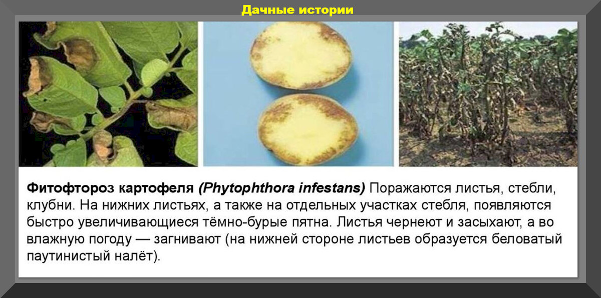 8 известных фраз, вырванных из контекста