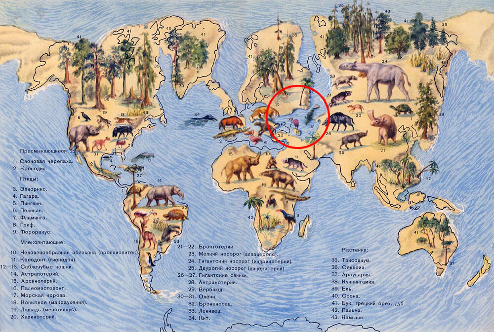Где жили древние. Карта земли в неогеновый период. Места обитания животных. Растительный и животный мир земли. Карта древних животных.