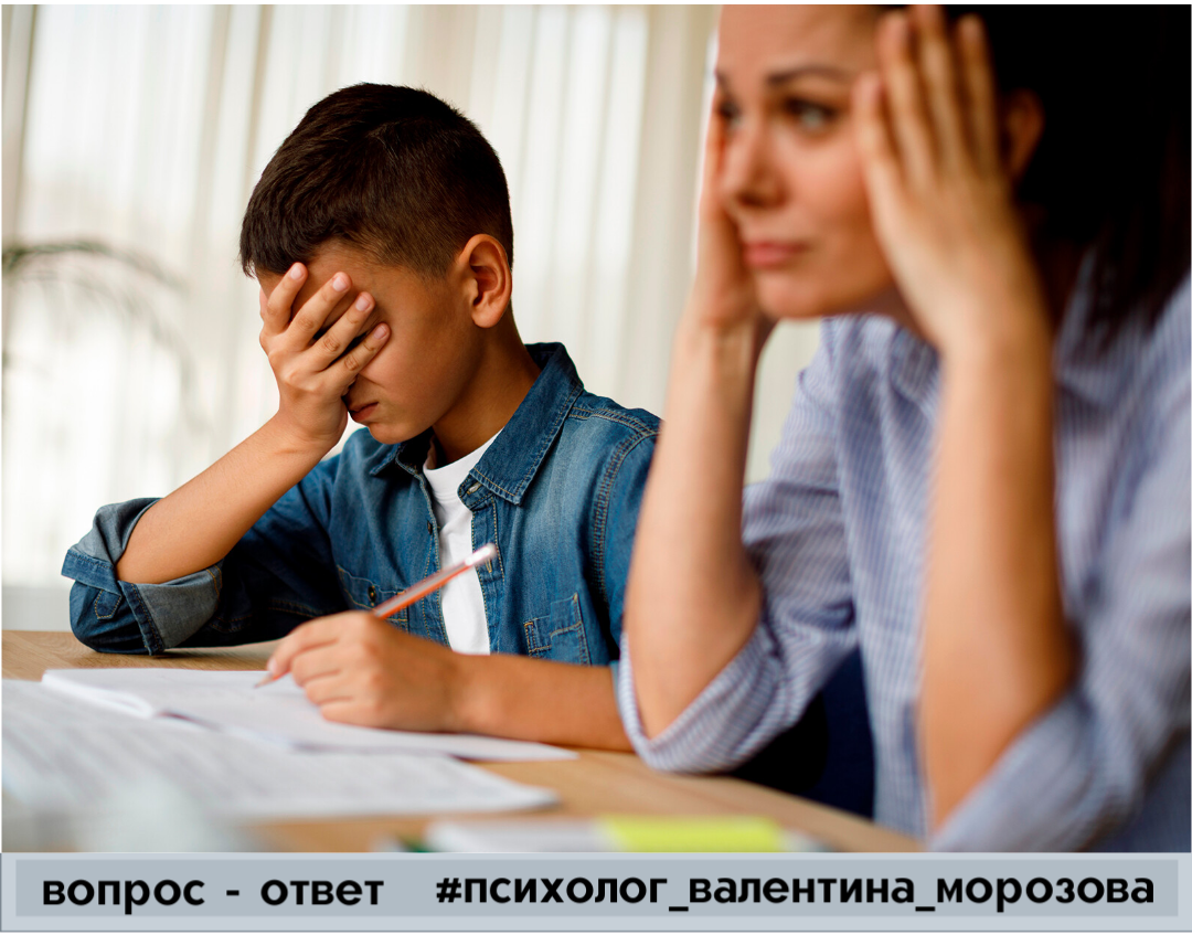 Фото взято из открытых источников