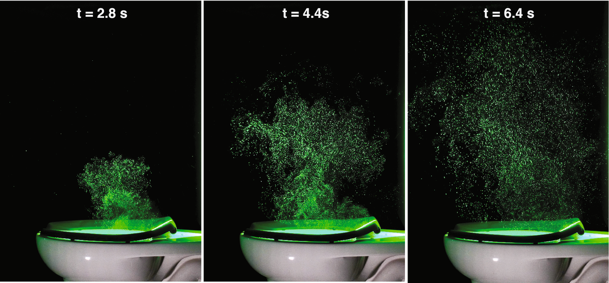    фото: Scientific Reports