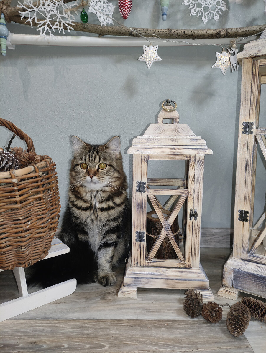 Дуся, как всегда, в центре внимания) 