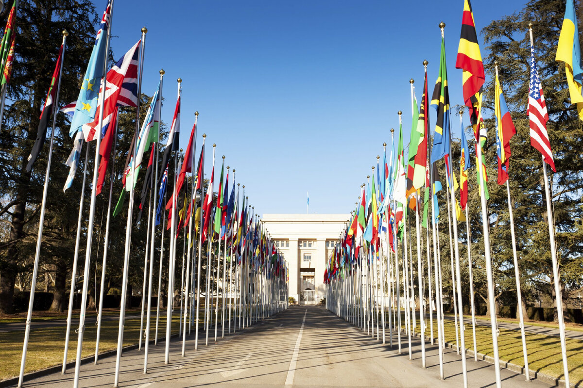 Вто оон. Всемирная торговая организация флаг. Всемирная торговая организация штаб квартира. Штаб квартира ВТО В Женеве.
