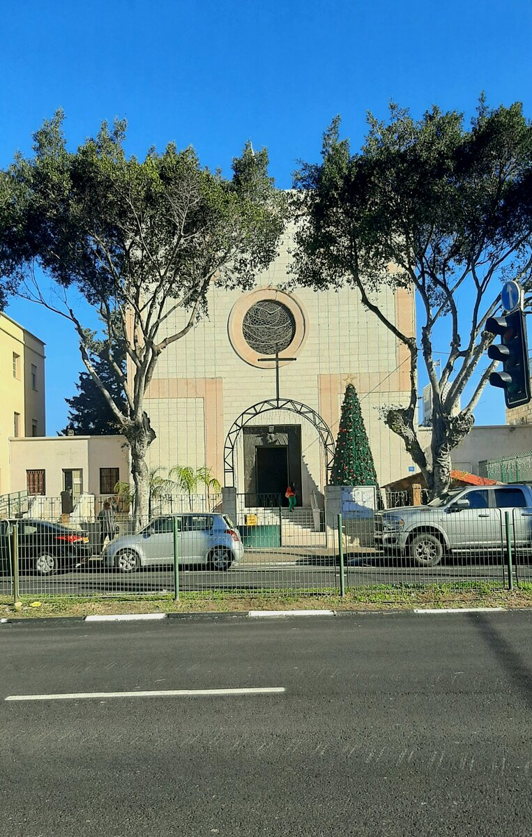 Одна из елочек в Хайфе