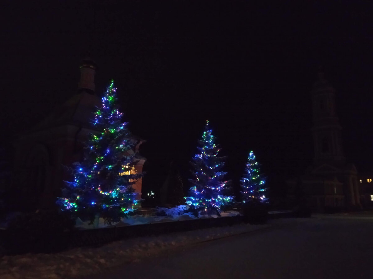 Ёлочки в Оптиной