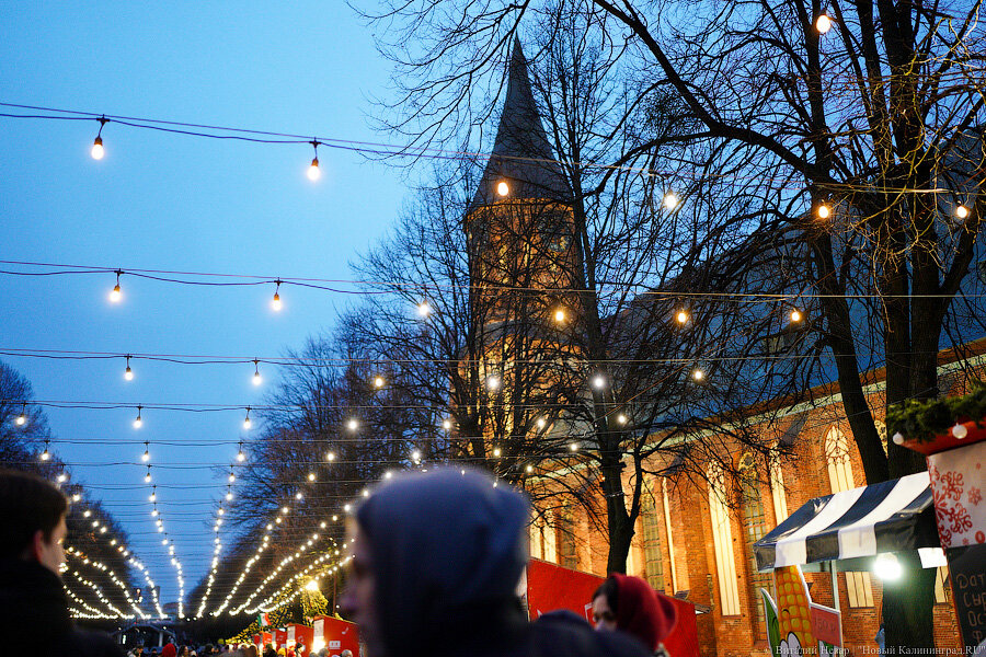 Фото: Виталий Невар / Новый Калининград