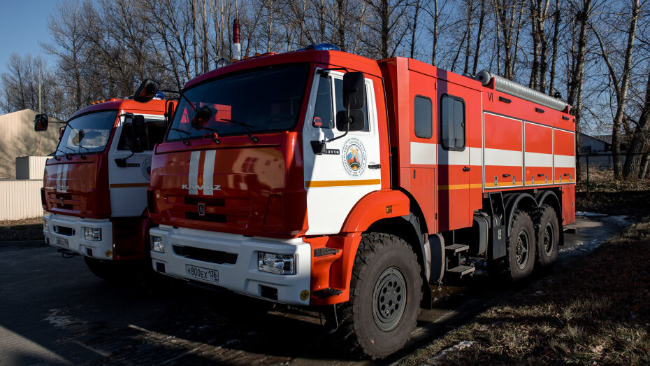   Автор фото: пресс-служба правительства Воронежской области