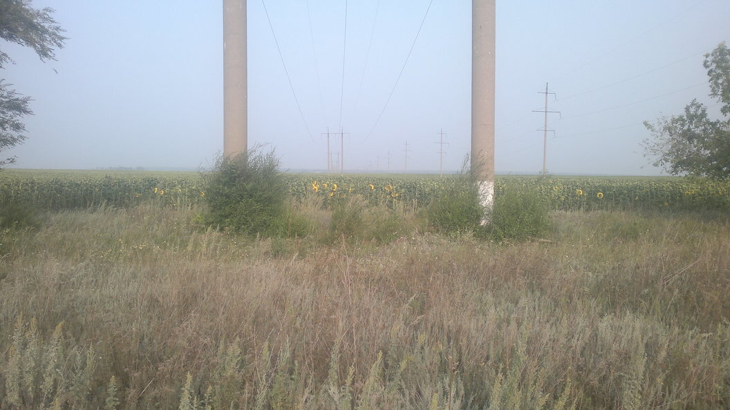    Фото: globallookpress.com