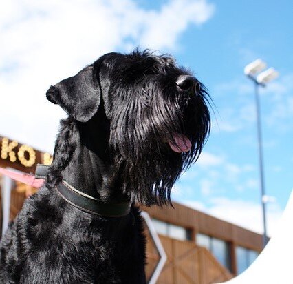 Пора в новую жизнь!