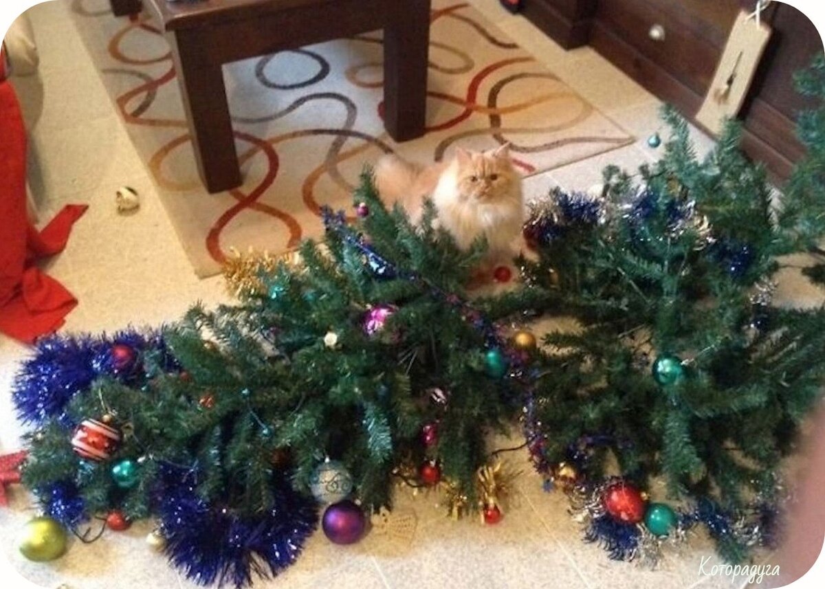 Традиция украшать елку. Как приходить на елку. Наряжаем елку в детском саду. Дети наряжают елку. Народная елка.