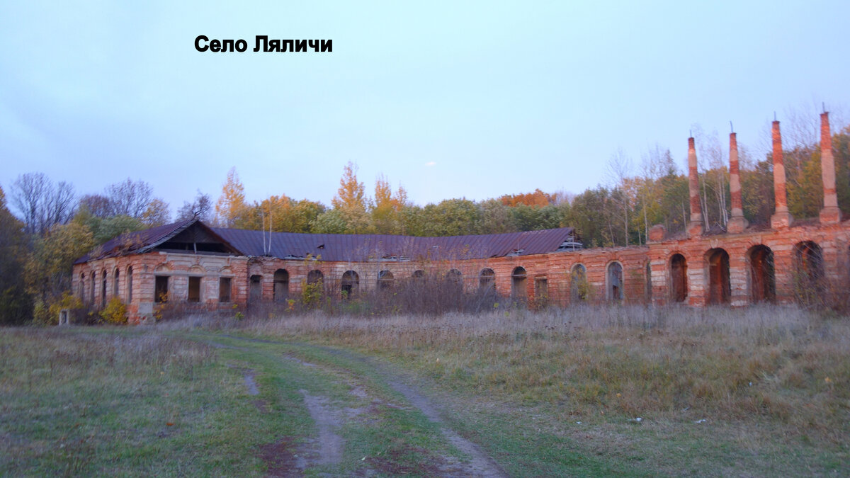 Ляличи Брянская область усадьба Завадовского