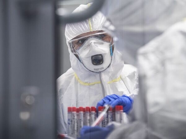   © РИА Новости Илья Питалев