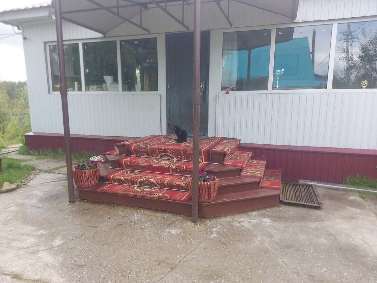 Крыльцо нашей дачи на 4 ступеньки - наше излюбленное место посидеть вечерком с бокалом вина