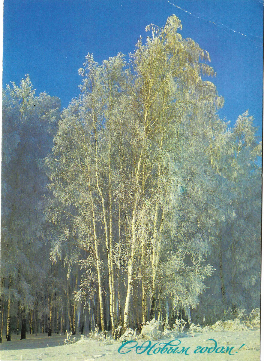 Фото А. Богданова