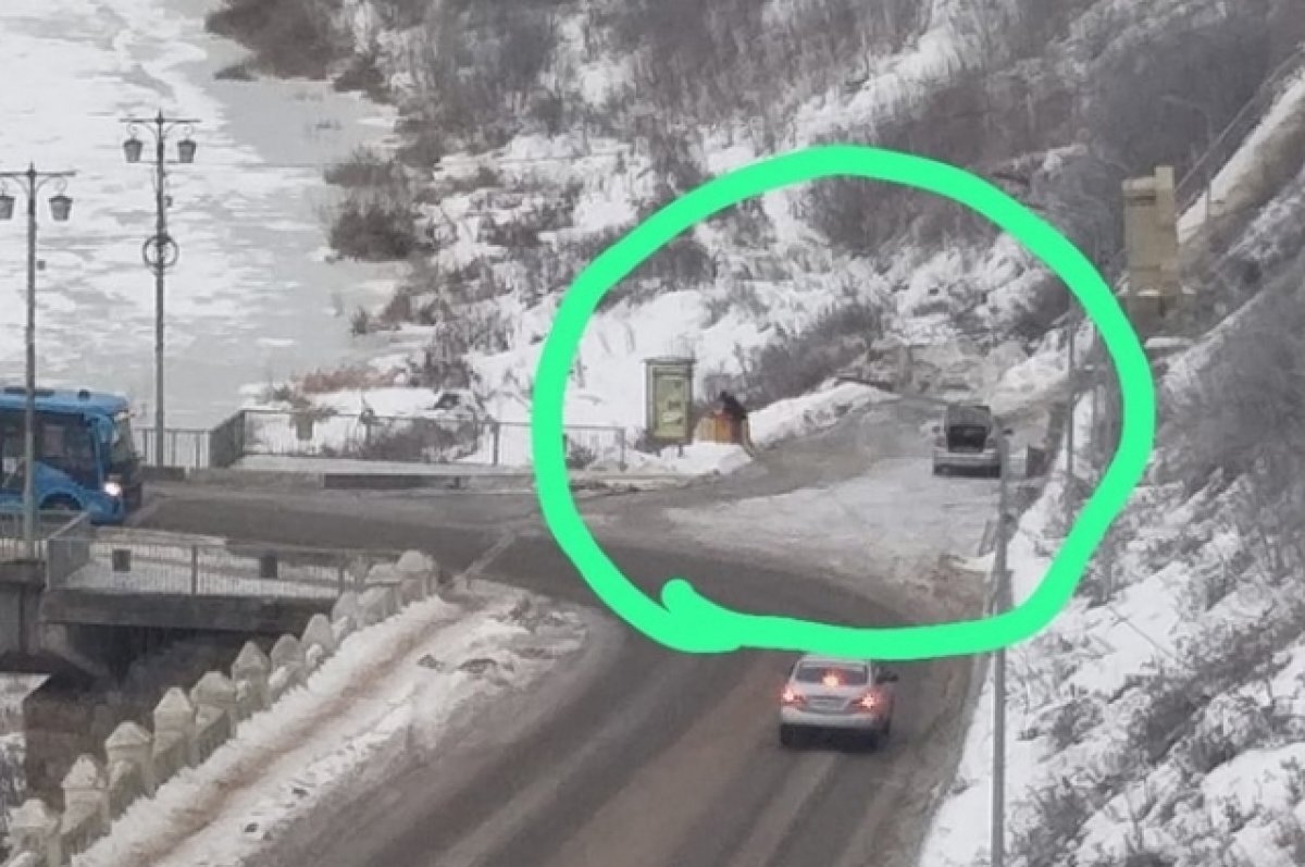    Ржевские коммунальщики пожаловались на воровство пескосоляной смеси