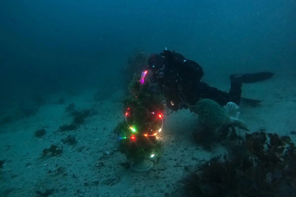     Елочку с автономной гирляндой установили на морском дне, а после провели символичный хоровод. Фото: vk.com/divingclubseahunter