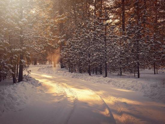     Фото unsplash.com